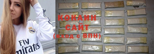 PSILOCYBIN Инта