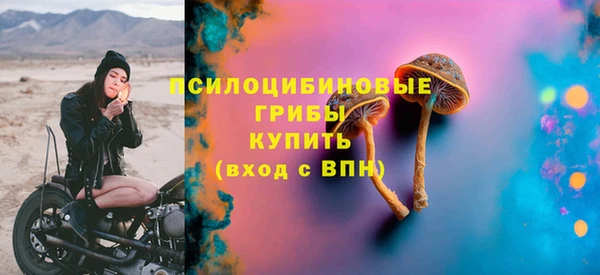 PSILOCYBIN Инта