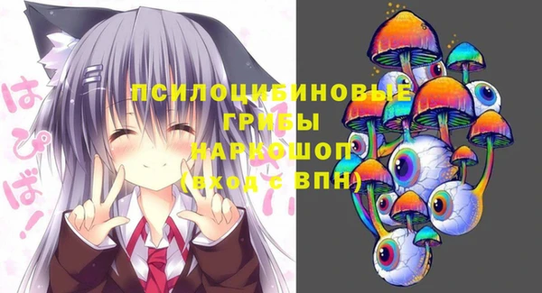 хмурый Ессентукская