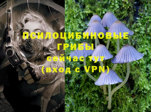 PSILOCYBIN Инта