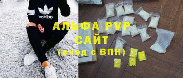 PSILOCYBIN Инта