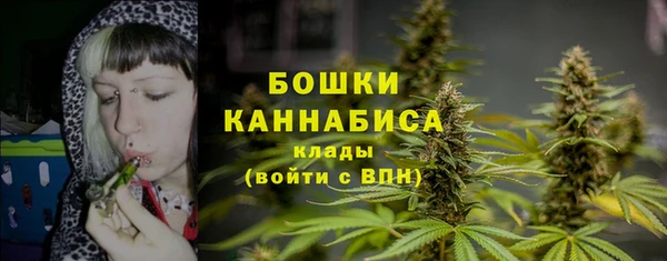 PSILOCYBIN Инта