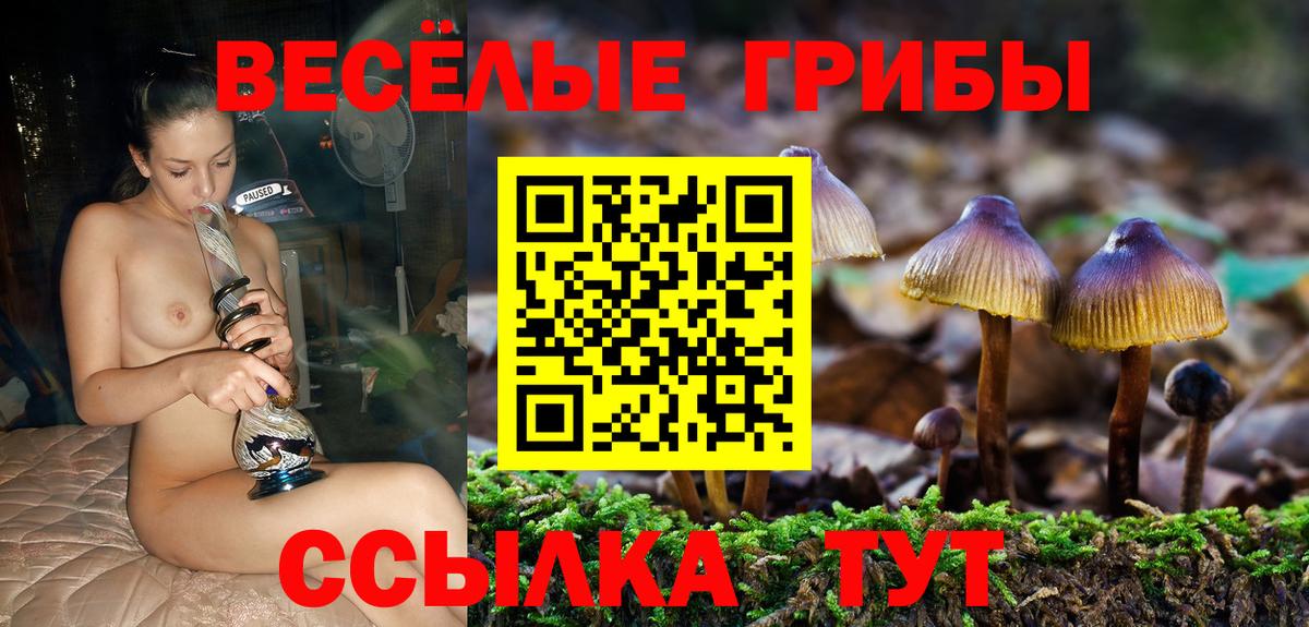 Псилоцибиновые грибы прущие грибы  Вход с VPN  Галлюциногенные грибы MAGIC MUSHROOMS  цены наркотик  Соль-Илецк 